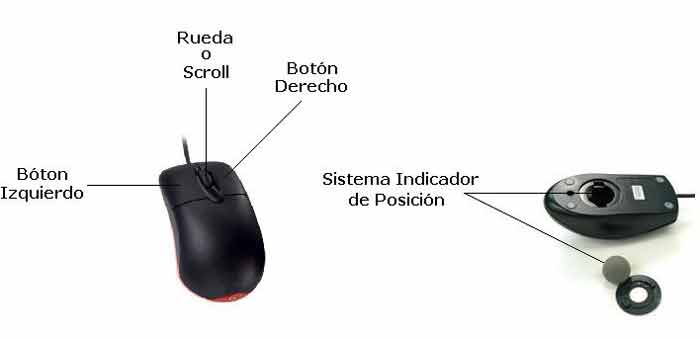 ratones de bola limpiar